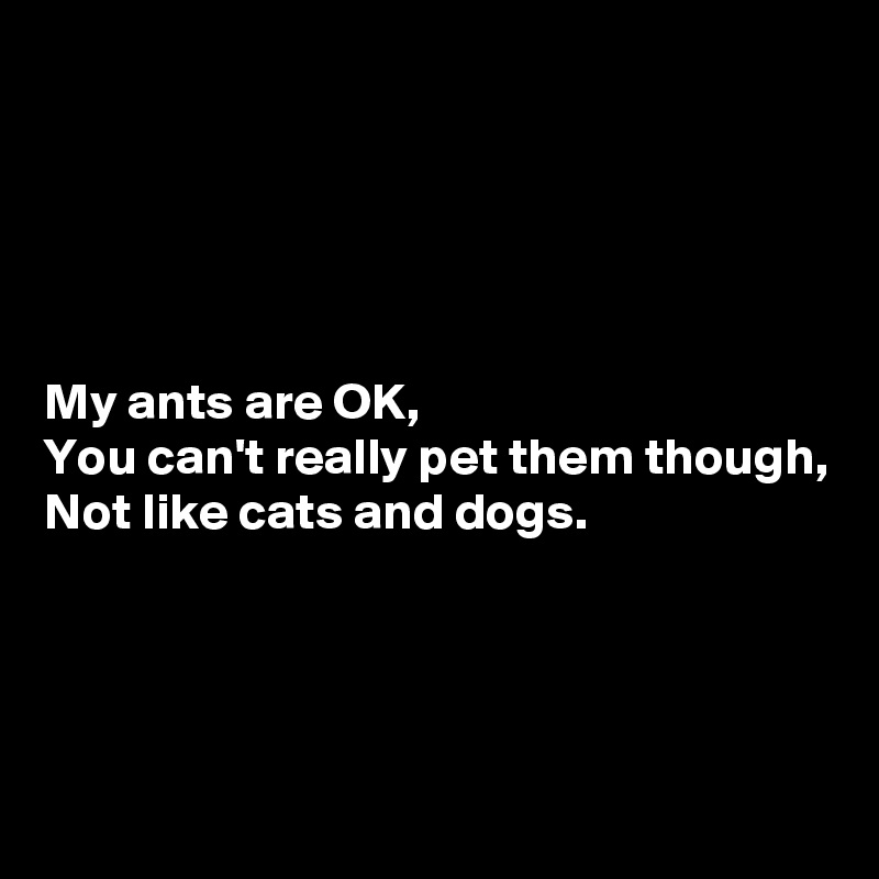 





My ants are OK,
You can't really pet them though,
Not like cats and dogs.




