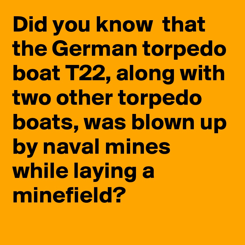 Did you know  that the German torpedo boat T22, along with two other torpedo boats, was blown up by naval mines while laying a minefield?