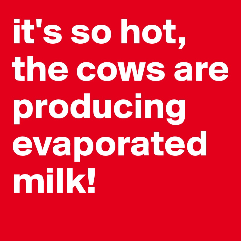 it's so hot, 
the cows are producing 
evaporated milk! 