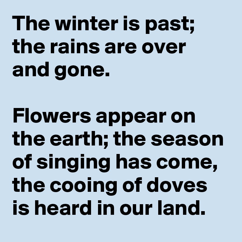 The winter is past; the rains are over and gone.

Flowers appear on the earth; the season of singing has come, the cooing of doves is heard in our land.
