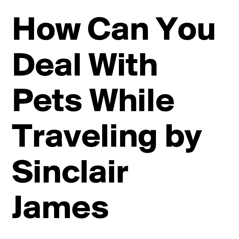 How Can You Deal With Pets While Traveling by Sinclair James