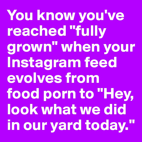 You know you've reached "fully grown" when your Instagram feed evolves from food porn to "Hey, look what we did in our yard today."