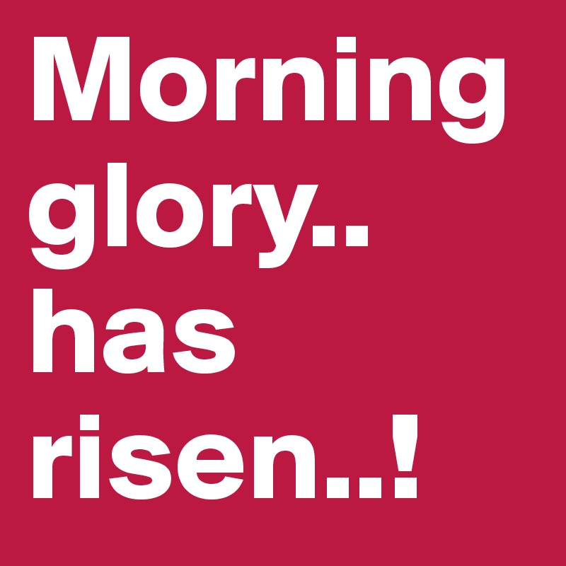 Morning glory.. has risen..!