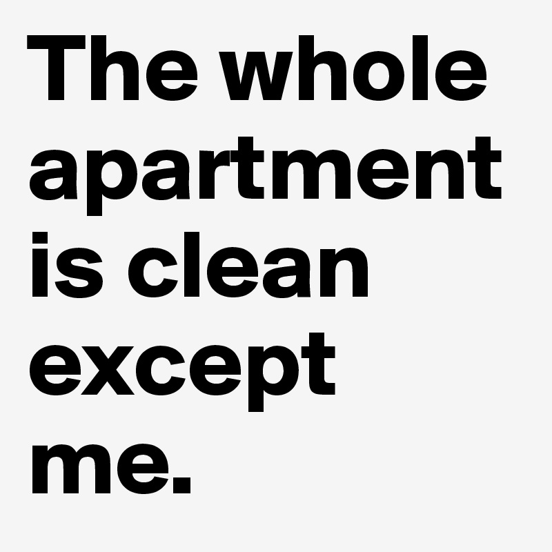 The whole apartment is clean except me.