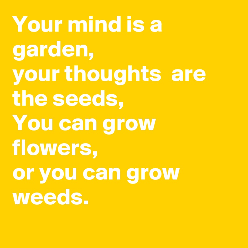 Your mind is a garden,
your thoughts  are the seeds,
You can grow flowers,
or you can grow weeds.
