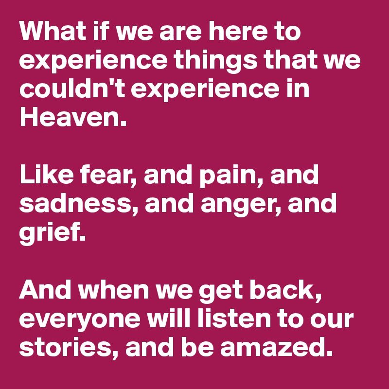 What if we are here to experience things that we couldn't experience in Heaven. 

Like fear, and pain, and sadness, and anger, and grief.

And when we get back, everyone will listen to our stories, and be amazed.