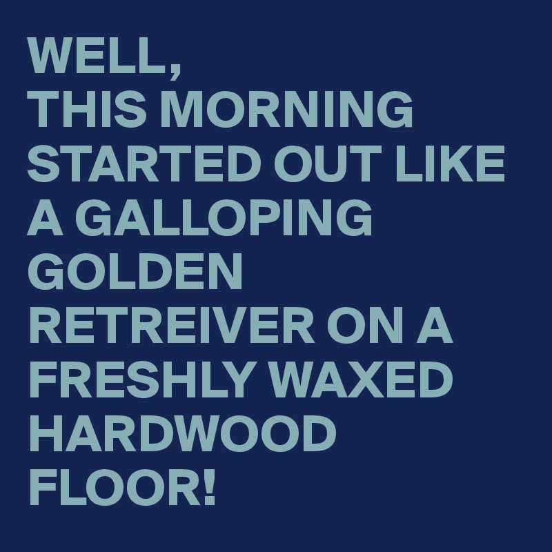 WELL,
THIS MORNING STARTED OUT LIKE A GALLOPING GOLDEN RETREIVER ON A FRESHLY WAXED HARDWOOD FLOOR!