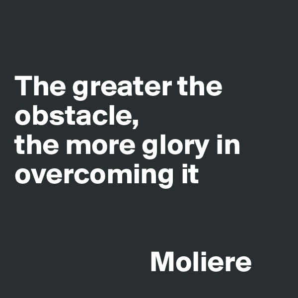 

The greater the obstacle,
the more glory in overcoming it


                       Moliere