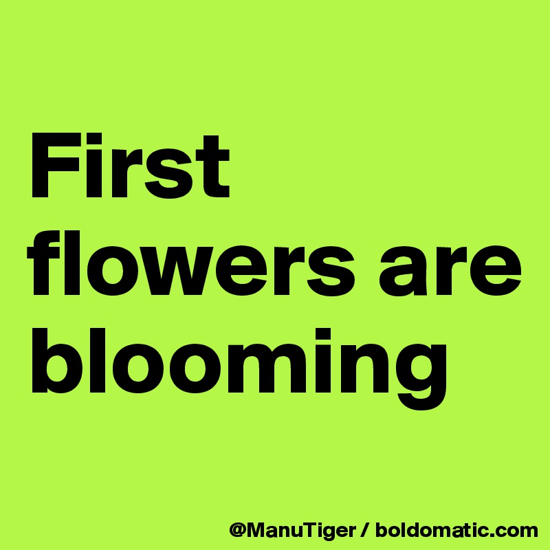 
First flowers are blooming