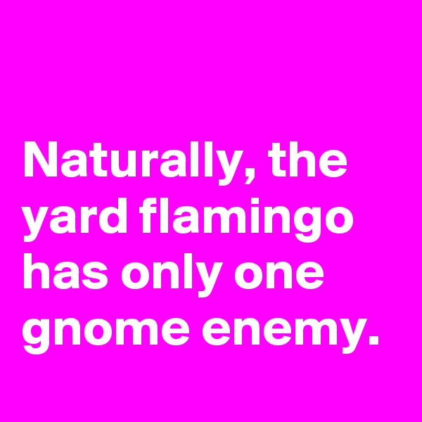 

Naturally, the yard flamingo has only one gnome enemy. 