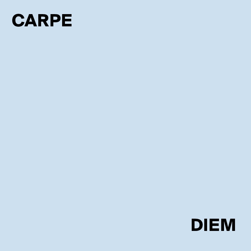 CARPE                          
   
 
 
 
 
 
 
 
 
                                               
                                                DIEM