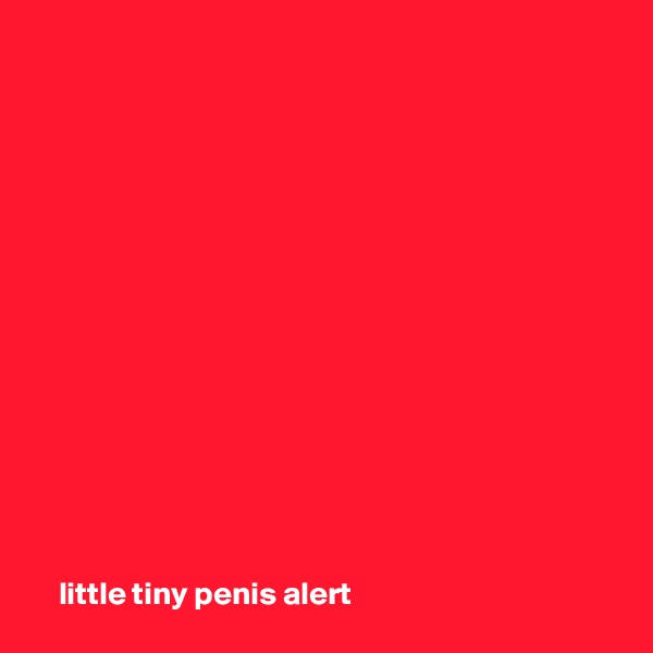  















    little tiny penis alert