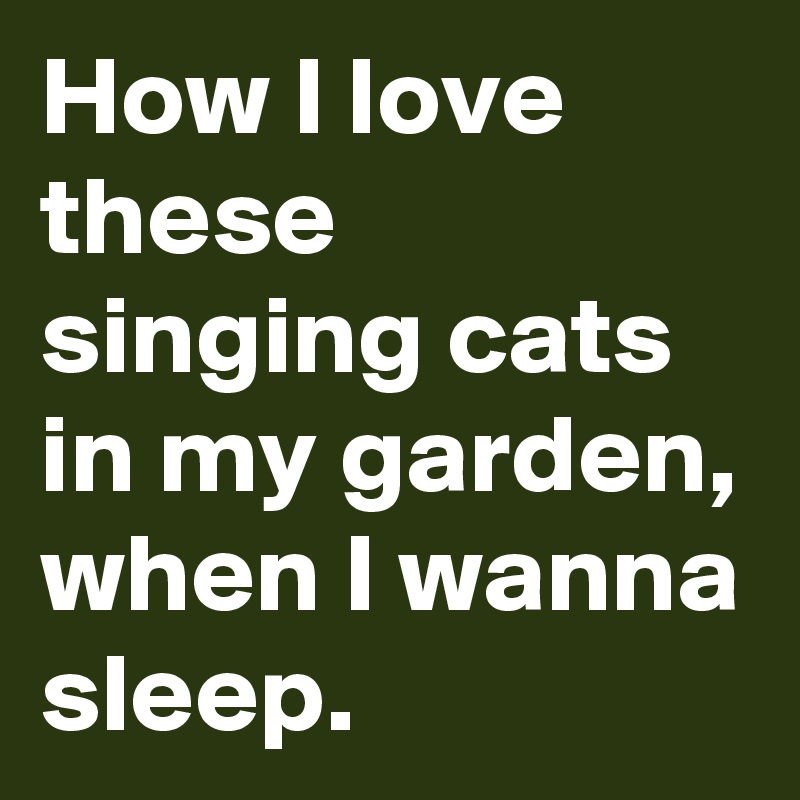 How I love these singing cats in my garden, when I wanna sleep.