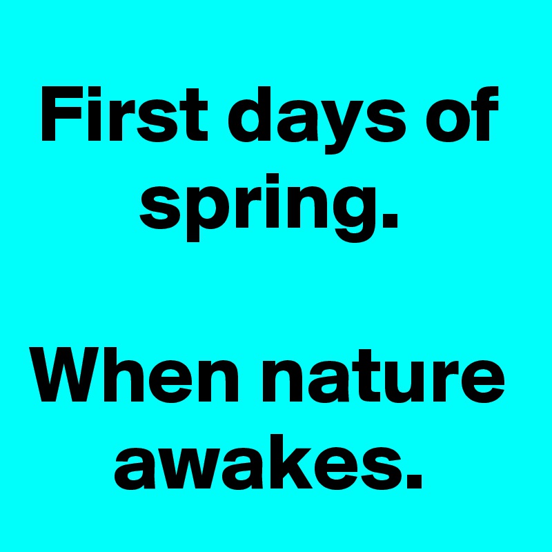 First days of spring.

When nature awakes.