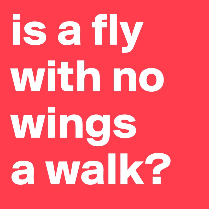 is a fly with no wings
a walk?