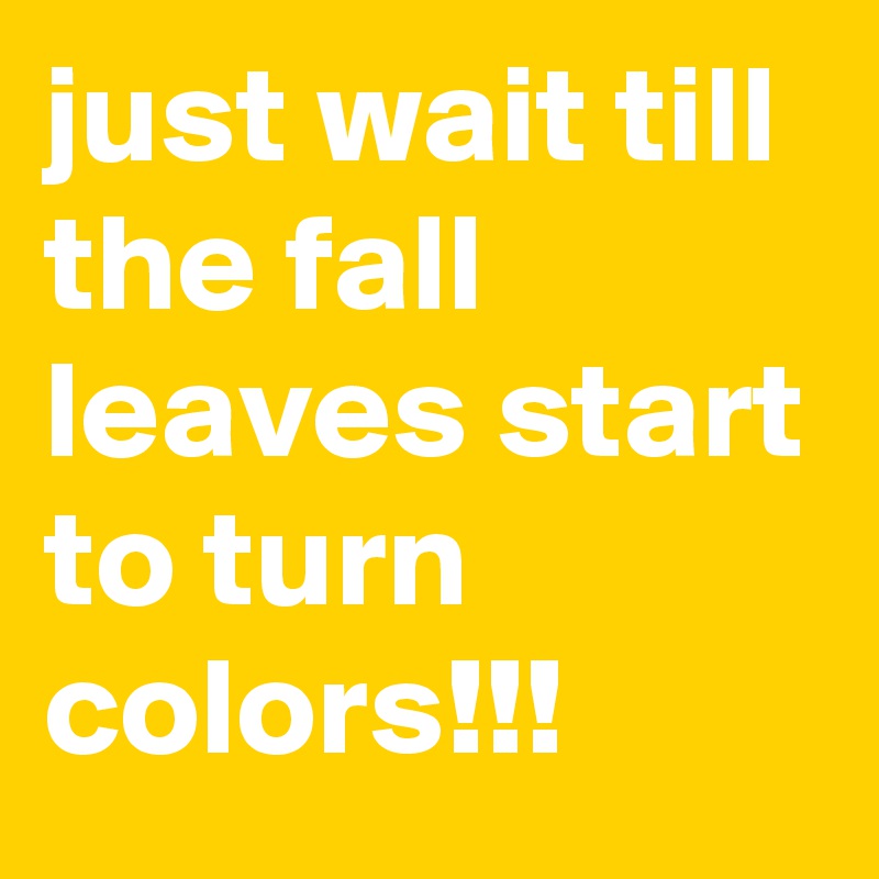 just wait till the fall leaves start to turn colors!!!