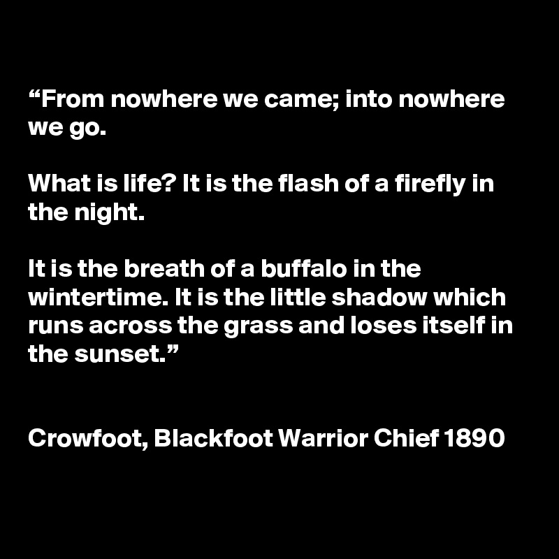 

“From nowhere we came; into nowhere we go.

What is life? It is the flash of a firefly in the night.

It is the breath of a buffalo in the wintertime. It is the little shadow which runs across the grass and loses itself in the sunset.”


Crowfoot, Blackfoot Warrior Chief 1890


