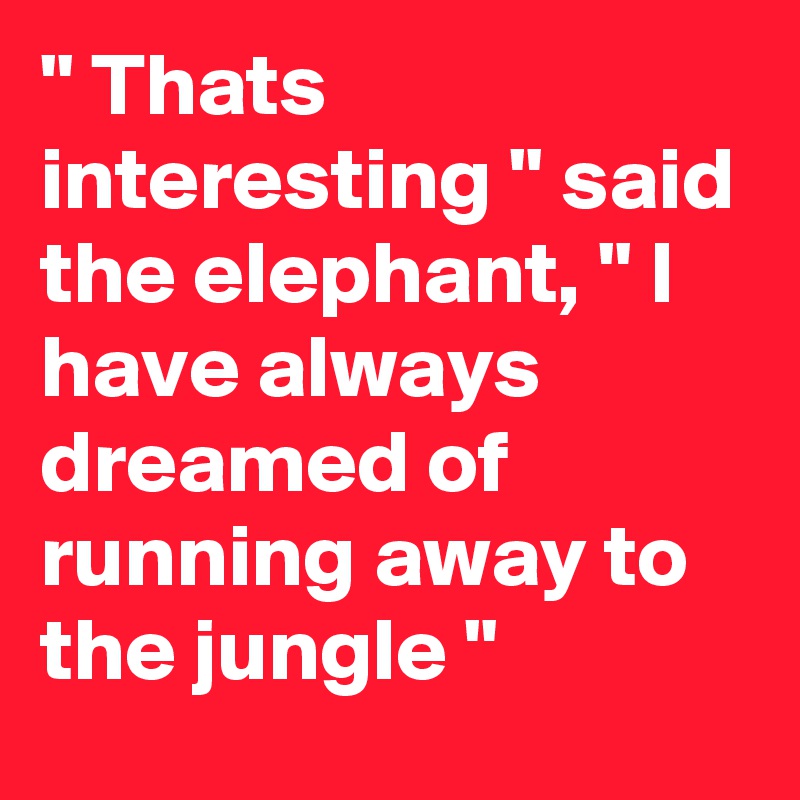 " Thats interesting " said the elephant, " l have always dreamed of running away to the jungle "