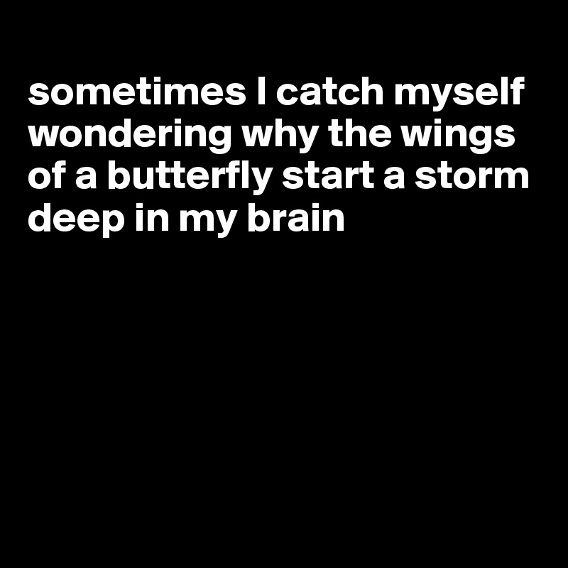 
sometimes I catch myself wondering why the wings of a butterfly start a storm deep in my brain






