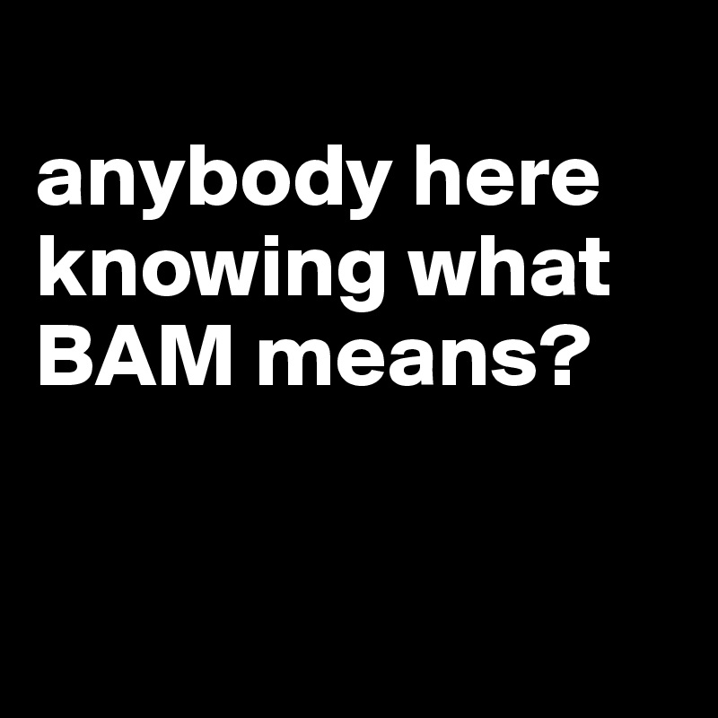 
anybody here knowing what BAM means?


