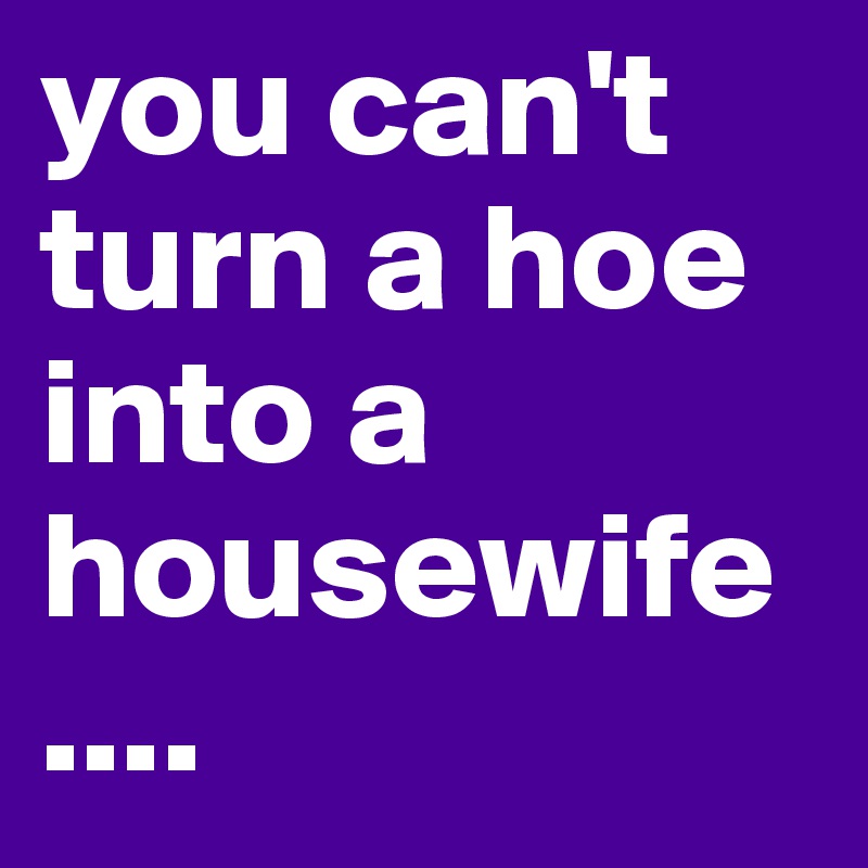you can't turn a hoe into a housewife
....