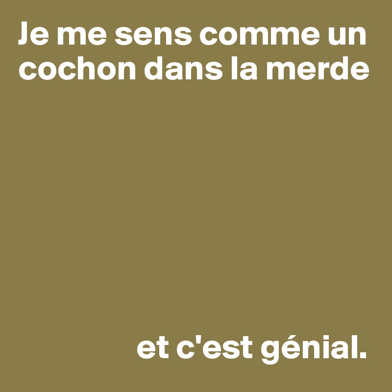 Je me sens comme un cochon dans la merde







                 et c'est génial.