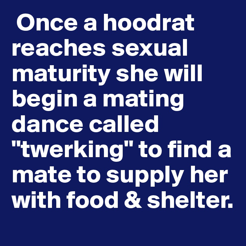  Once a hoodrat reaches sexual maturity she will begin a mating dance called "twerking" to find a mate to supply her with food & shelter.