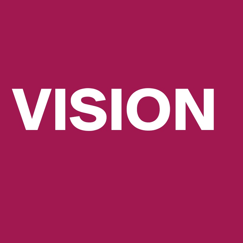 
VISION