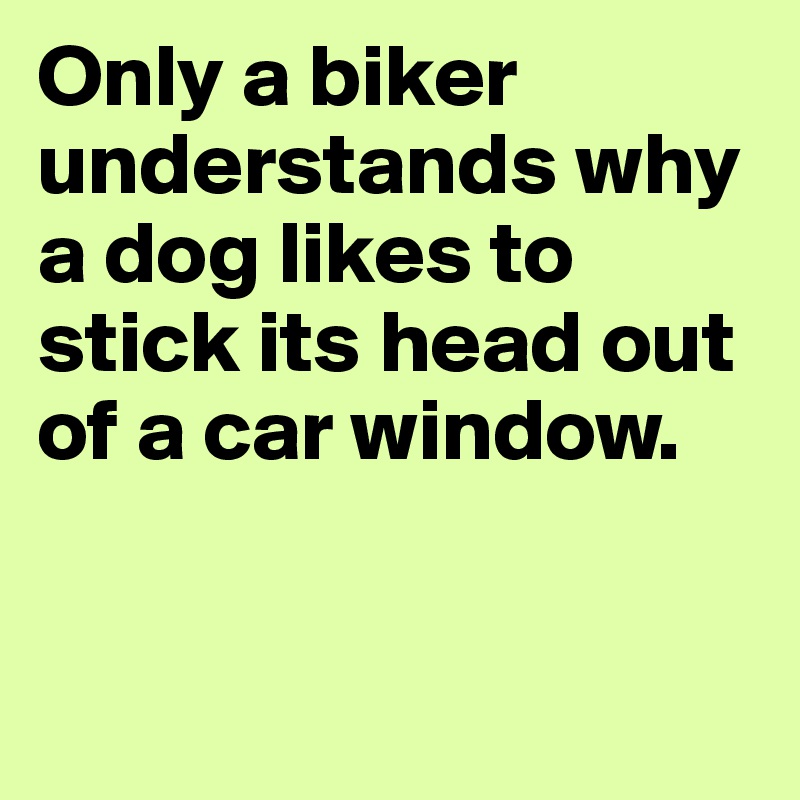 Only a biker understands why a dog likes to stick its head out of a car window. 


