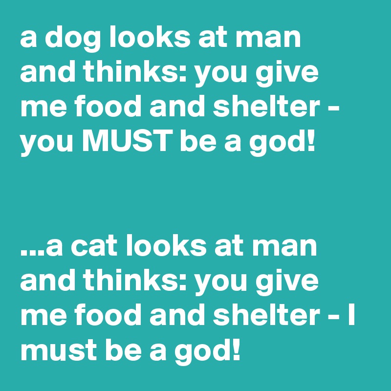 a dog looks at man and thinks: you give me food and shelter - you MUST be a god!


...a cat looks at man and thinks: you give me food and shelter - I must be a god!