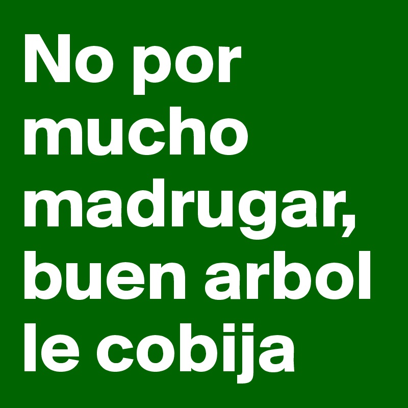 No por mucho madrugar, buen arbol le cobija