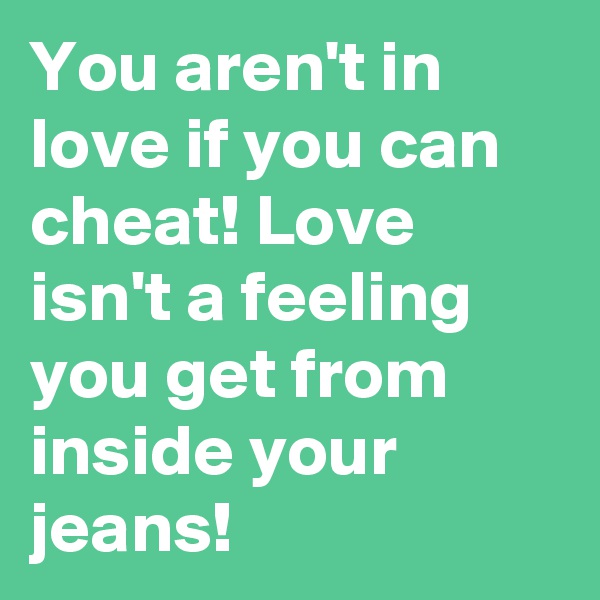 You aren't in love if you can cheat! Love isn't a feeling you get from inside your jeans!