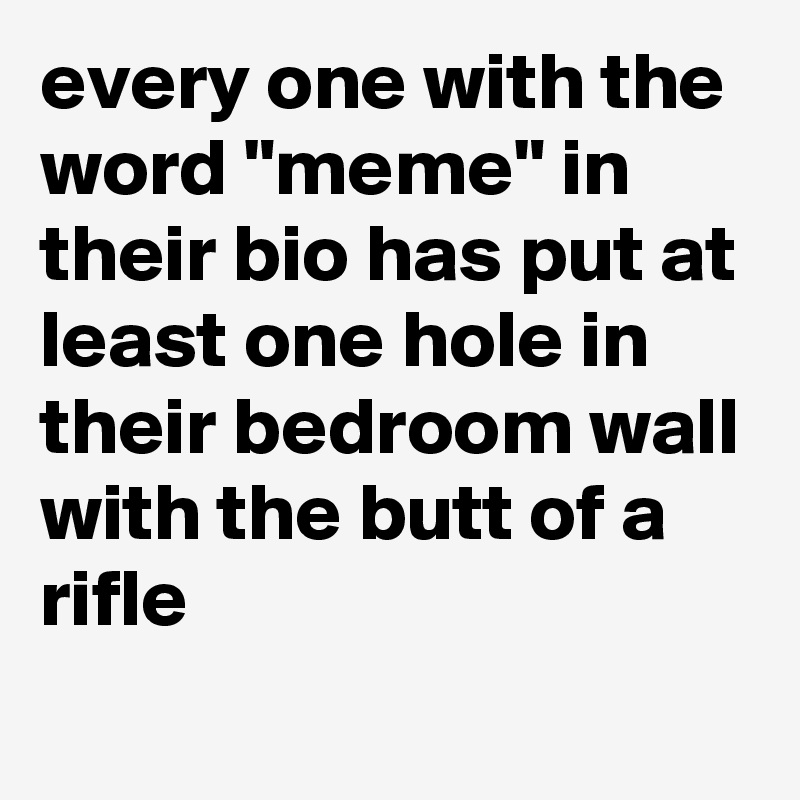 every one with the word "meme" in their bio has put at least one hole in their bedroom wall with the butt of a rifle