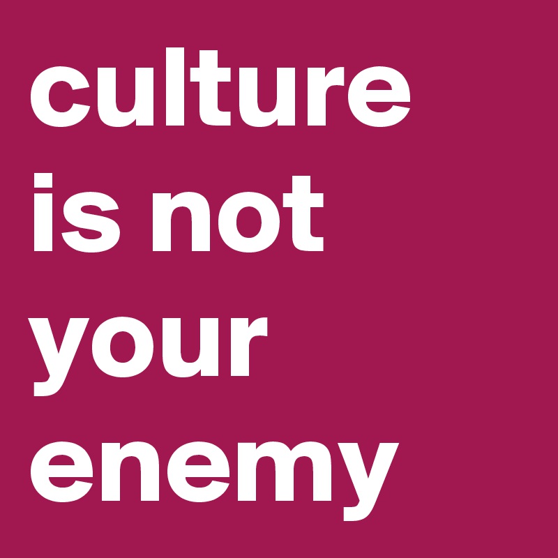 culture is not your enemy