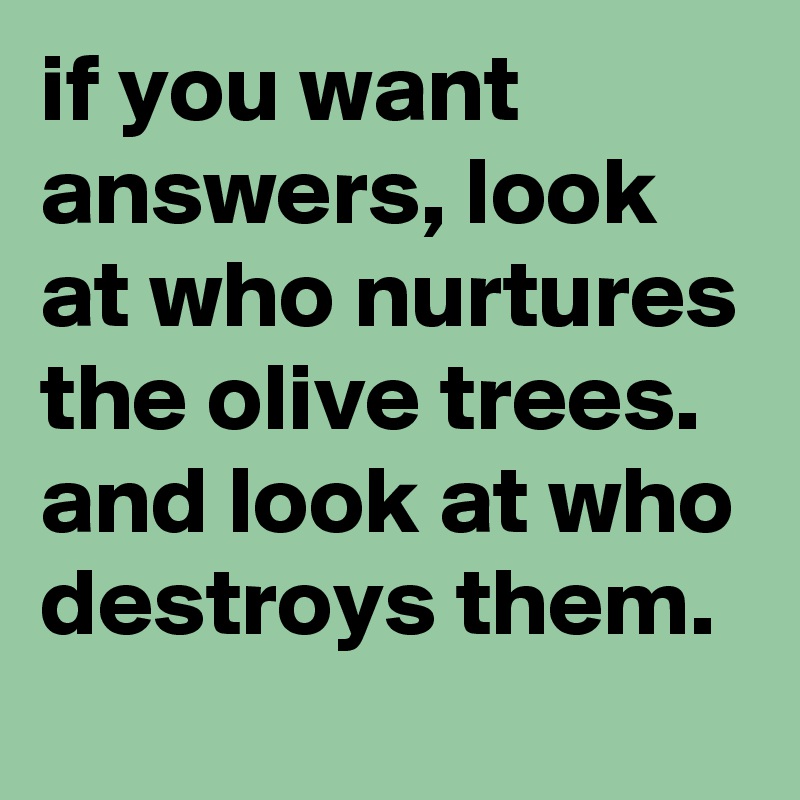 if you want answers, look at who nurtures the olive trees. and look at who destroys them.