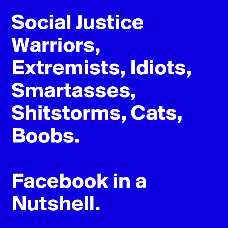 Social Justice Warriors, Extremists, Idiots, Smartasses, Shitstorms, Cats, Boobs.

Facebook in a Nutshell.