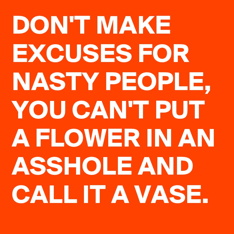 DON'T MAKE EXCUSES FOR NASTY PEOPLE, YOU CAN'T PUT A FLOWER IN AN ASSHOLE AND CALL IT A VASE.