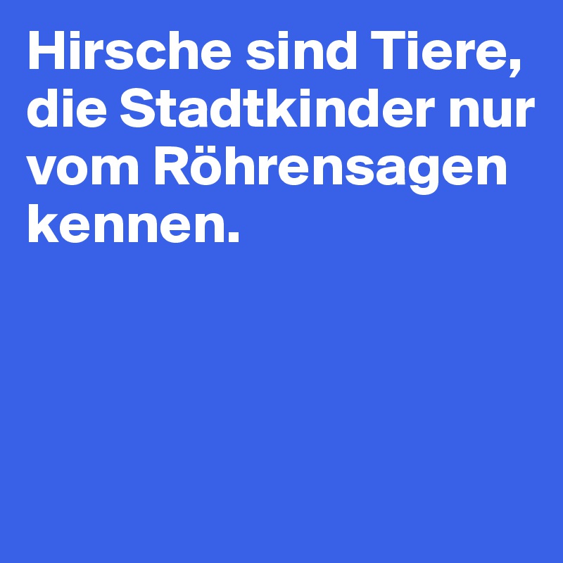 Hirsche sind Tiere, die Stadtkinder nur vom Röhrensagen kennen.



