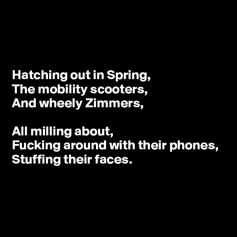 



Hatching out in Spring,
The mobility scooters,
And wheely Zimmers,

All milling about,
Fucking around with their phones,
Stuffing their faces.


