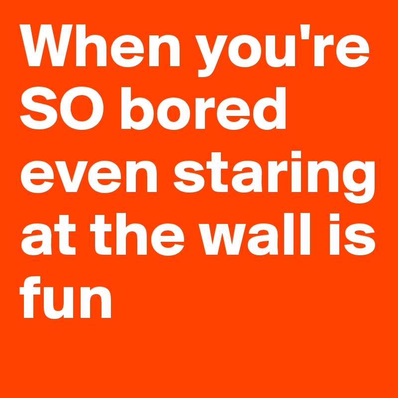 When you're SO bored even staring at the wall is fun