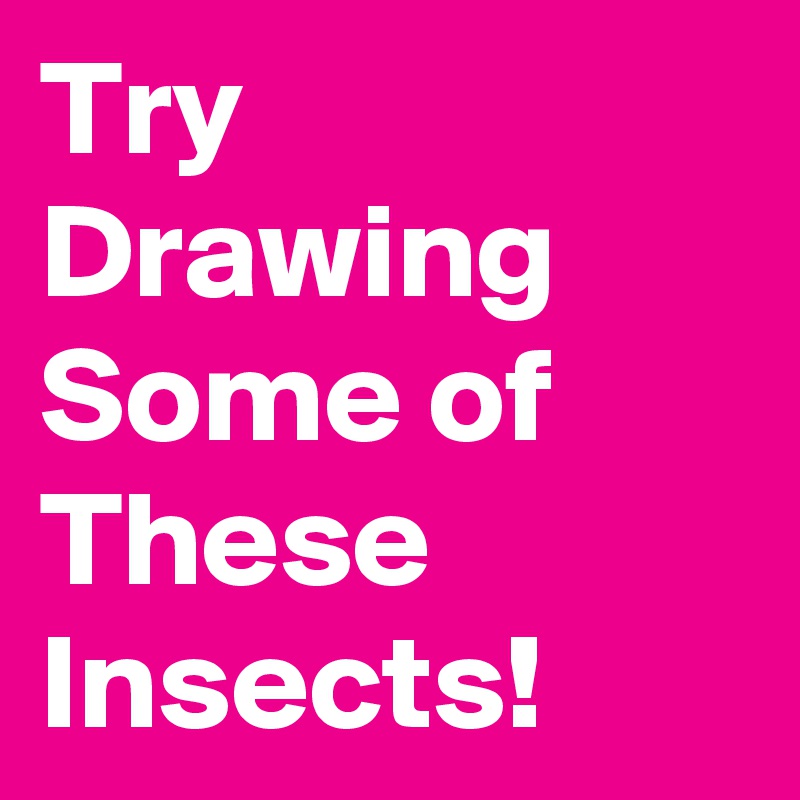 Try Drawing Some of These Insects!  