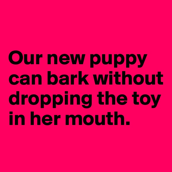 

Our new puppy can bark without dropping the toy in her mouth.
