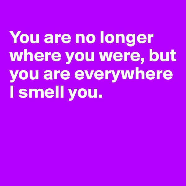 
You are no longer where you were, but you are everywhere I smell you.


