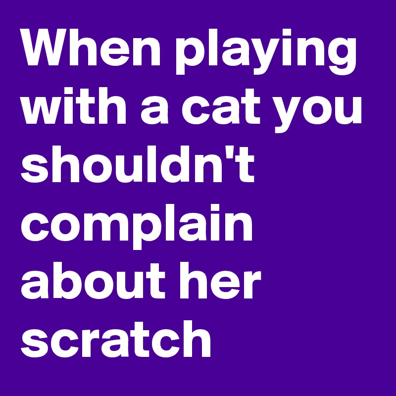 When playing with a cat you shouldn't complain about her scratch