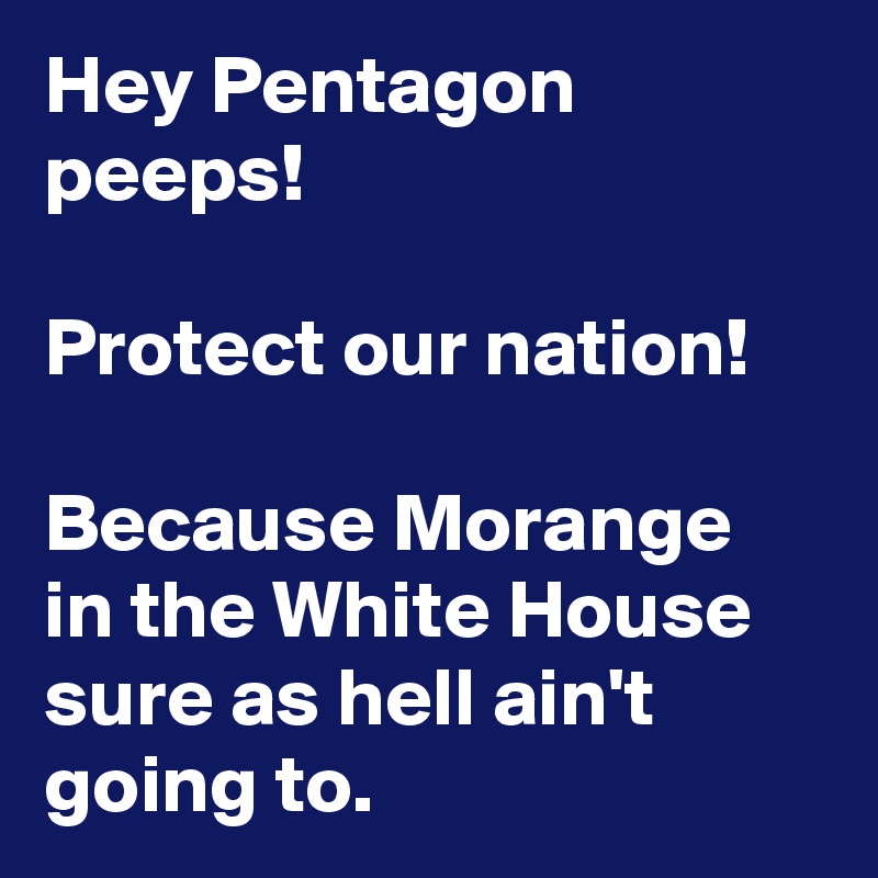 Hey Pentagon peeps!

Protect our nation!

Because Morange in the White House sure as hell ain't going to.