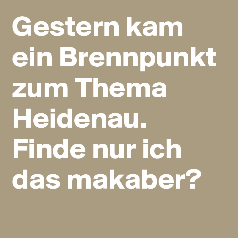 Gestern kam ein Brennpunkt zum Thema Heidenau. Finde nur ich das makaber?