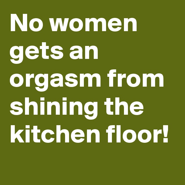 No women gets an orgasm from shining the kitchen floor!