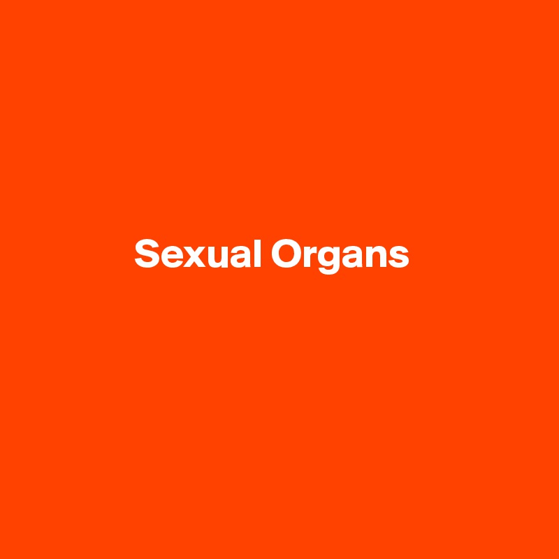 




             Sexual Organs





