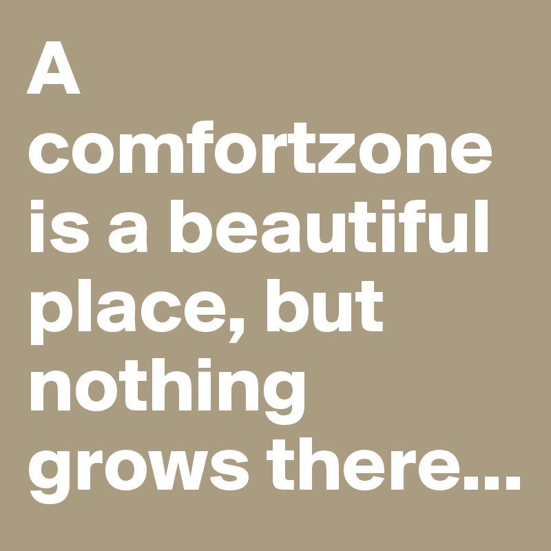 A comfortzone is a beautiful place, but nothing grows there...