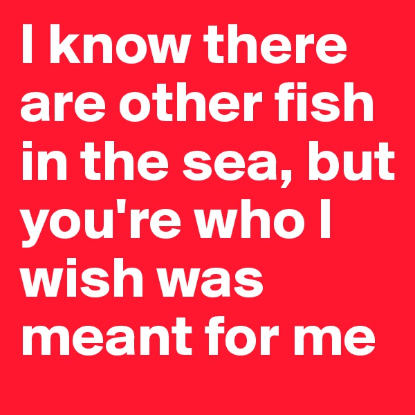 I know there are other fish in the sea, but you're who I wish was meant for me